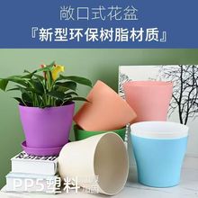 �������ϻ���S���̨��̖�¼��G�}�����؃r�Ӻ��ɫ��֬������