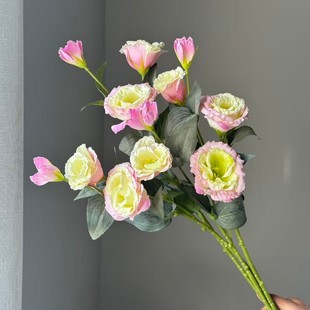 �羳���N�´���3�^�۹������滨Ʒ�|؛ԴԴ�^���S���lܛ�b��c��