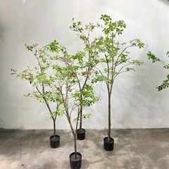 Ins 风 仿真绿植 海岛春花树  落地植物 客厅绿植盆景栀子花树