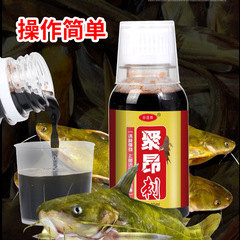 谷道香 聚昂刺黃辣丁餌料增強劑釣魚小藥黑坑野釣添加劑誘魚劑