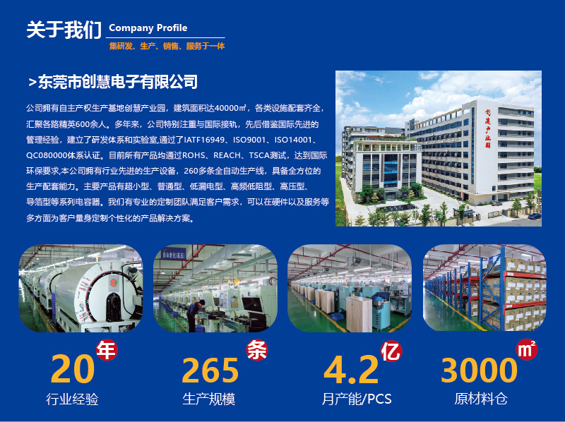 Company Profile Aluminum Electrolytic Capacitors