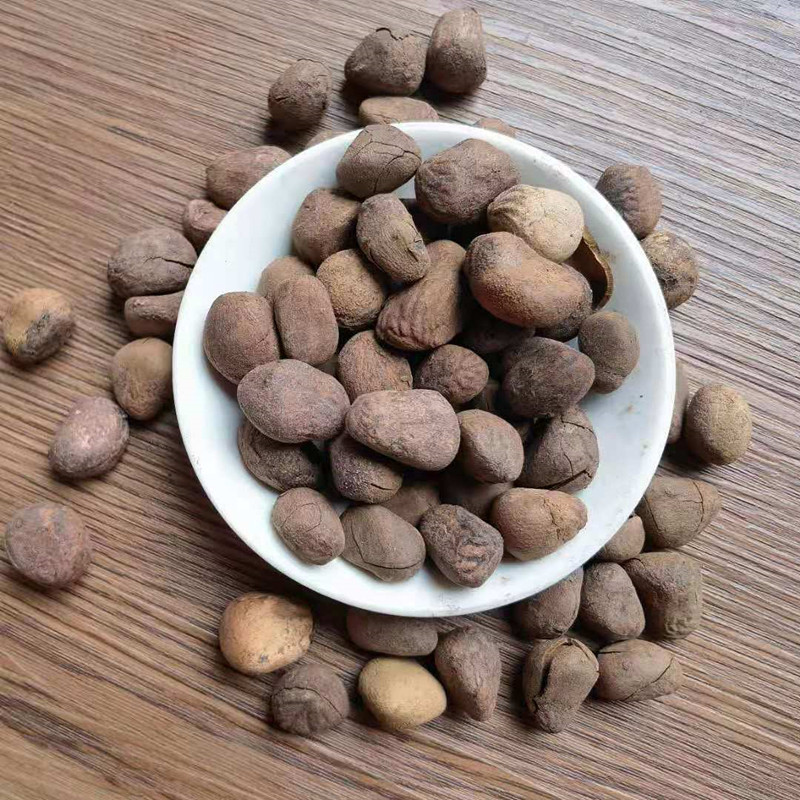 Dried Chaulmoogra Seeds Da Feng Zi 大枫子 Whole Herb Bulk Supply specifications