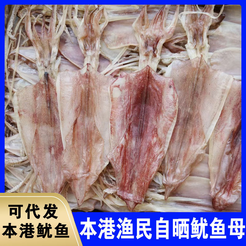本港鱿鱼母手撕尤鱼烧烤KTV地摊商用干鱿鱼海鲜食用鱿鱼干货批发