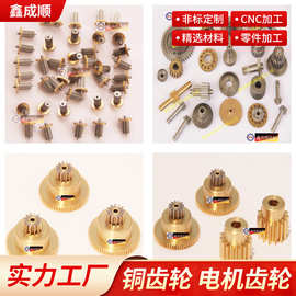 齿轮0.15-1.5 铜齿轮 电机齿轮 小模数金属传动齿轮厂家直供