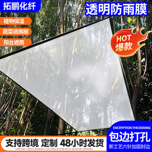 Transparent Rainproof Film, Multi-Functional Thickeneded Edge Perforated Rainproof Film, Flower Succulent Rainproof Moisturizing Windshield Film