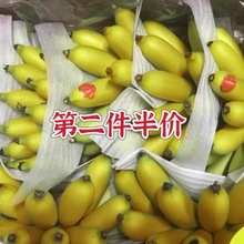 推荐!【皇帝蕉】薄皮特惠小米蕉新鲜现摘无添加孕妇小孩精品5斤