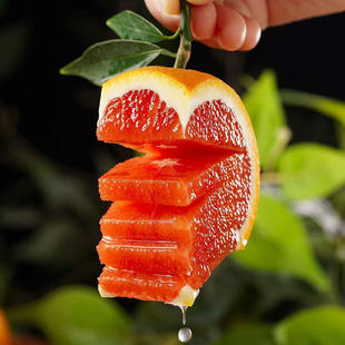 ��؛2026�����w�������A�t��Ě�Ȯa��ֱ�l�����r���ք����ӼtѪ��