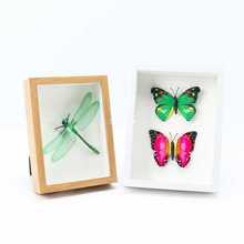 TUF4Diy手工相框 立体中空标本框摆台蝴蝶昆虫粘土干花加厚照片画
