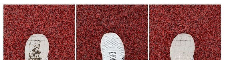 Entrance Door Mat, Silk Loop Anti-Slip Entry Mat, Bathroom Mat, Living Room Door Mat, Car Door Mat
