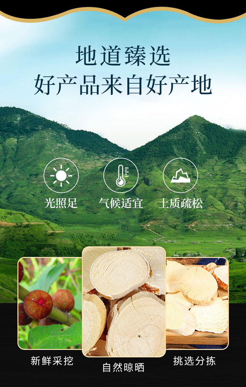 Wu Zhi Mao Tao (Radix Fici Simplicissimae) — Dried Food Herb for Soup & Tea overview