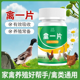 ��һƬ����u���Z�Bֳ����������ӄ��Bֳ���B�u�����B�������
