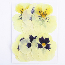 ��ߴ���ɫ�������M�ϰ��ɻ����lѺ���ֹ�diy���ϰ�ֲ��˱�����