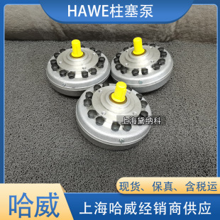 Германия Hawe Hawe R Series R 8,3 Plunger Pump Supply