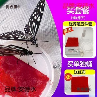 �����Ӽ���w�ɷ�����Y���w��ͯ�Y����B�^��С���x�����J������