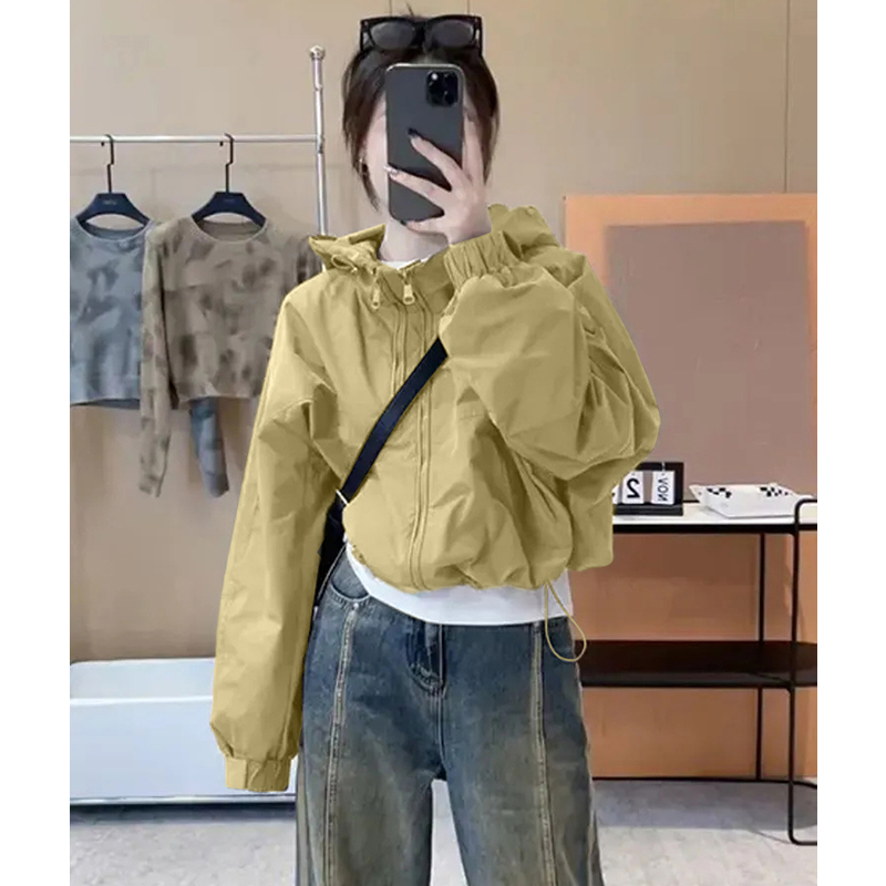 카키 그린(봄, 가을)