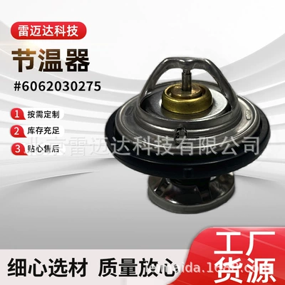 6062030275 thermostat is suitable for Ssangyong car thermostat manufacturers wholesale auto parts thermostat (Thermostat)