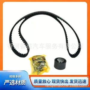 31359568 Volvo XC60XC90S80V70 timing kit D5 engine timing belt kit