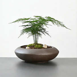 厂家直销黑色陶瓷花盆 绿植盆栽盆景花盆 源头工厂批发可来样生产
