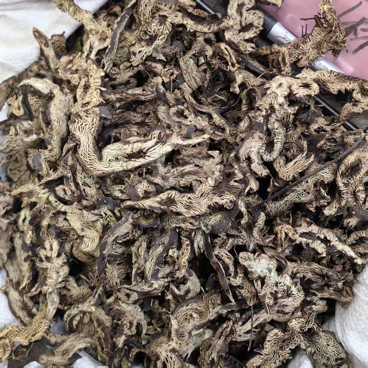 Northeast Cimicifuga Rhizome Slices Sheng Ma 500g Sulfur-Free Dried Herb for Decoction and Powder key features
