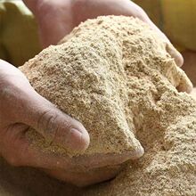 10���l��ȿ�����20Ѭ���iʳ���׿����¿��r�ҹȿ�01�����Z�����