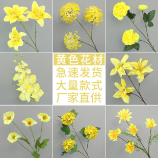 �S��ֱ�N�Sɫ���滨��c��Y��·�������üҾ��bٻ��[���ɻ�