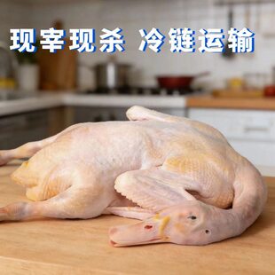 ���F���ٰl���r��ɢ�B�������������������_�����^צ��ȫ��