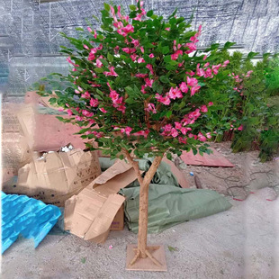 ������ޱ����ͥԺ�e���Ƶ��̈��@�ֹ��̾��^�٘��b������ߔ[��