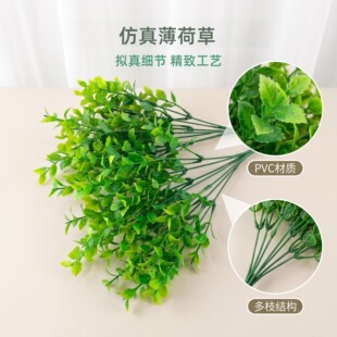 ���污�ɲ݆�֧ ���Ϸ����ܘ��~����ֲ���Ĳ廨�bG���쾰