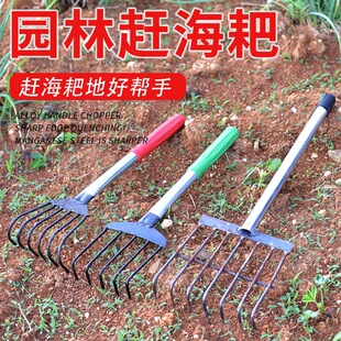 Shell Agricultural Tools, Iron Rake, Catching Hook, Centipede Nail Rake, Catching Sea, Digging Clams, Digging Holy Flower Clams Tool
