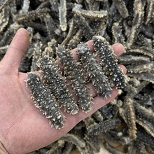 ���x������  �ڴ̅� �S��̅����������؛�������l35-90-120�^