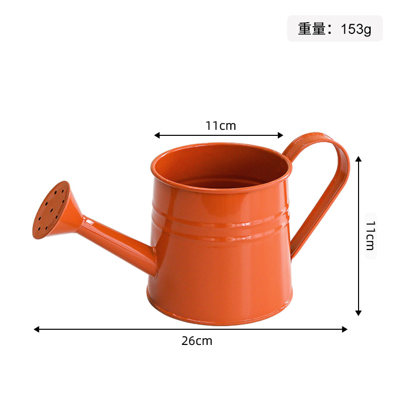 Light orange-iron watering bottle