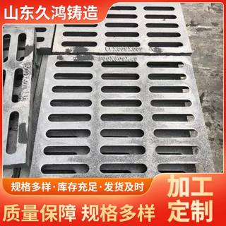 球墨铸铁雨水篦子单箅子300*500小区车库市政排水沟盖板