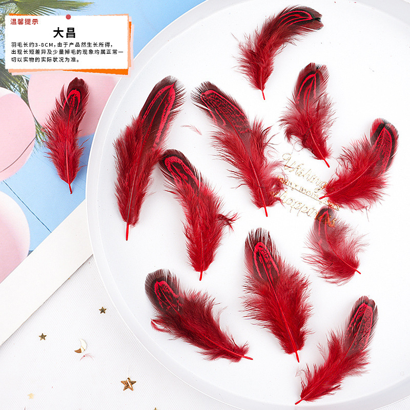57 メーカーが既製の大きな赤い羽の DIY ジュエリー アクセサリー、衣類、工芸品、装飾材料を供給しています。|undefined