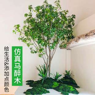 �����R��ľ���R��Gֲ��d�b��쾰�҃���ؼ٘侰�^�����b[��