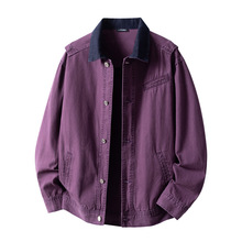 �Ա���-MS351-P85-2026�����¿�������۷�ţ�����׳��к���-��33