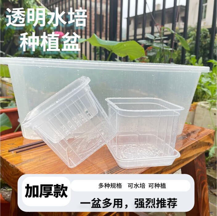 Rectangular Plastic Flowerpot Water Culture Hydroponics Observation Kindergarten Bonsai Green Plant Bean Sprouts Experimental Planting Highly Transparent Rectangular Plastic Flowerpot Water Culture Hydroponics Observation Kindergarten Bonsai Green Plant Bean Sprouts Experimental Planting Highly Transparent