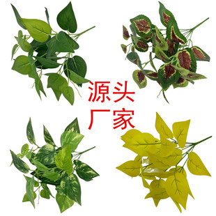 �ٻ��Gֲ�廨�b����u���~��ֲ��Gֲ�����7���S���G�}�~