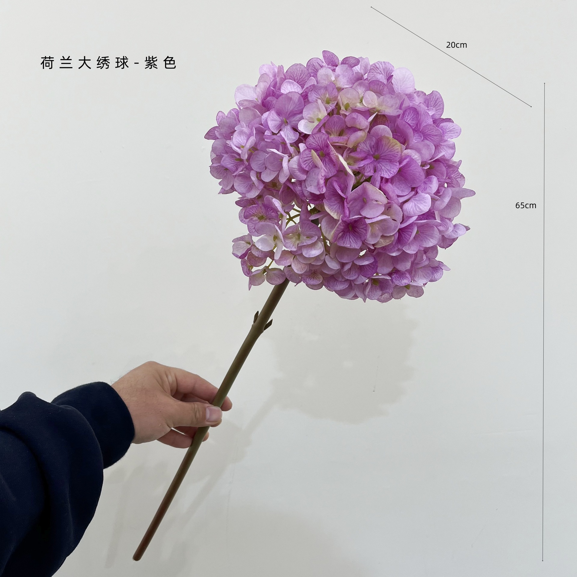 보라색
