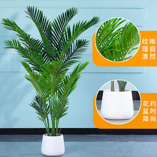 ����Ž��䱱�W�Gֲ������ɢβ���҃��b[����ֲ������������