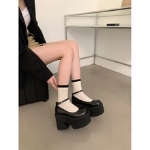 2025�¿��ϵ�������A�^�ɸ����׸߸�Ь�WԺ��ЬƤ����ŮЬ