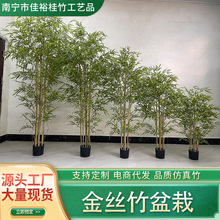 WֲGֲ쾰҃bړԴGN滨