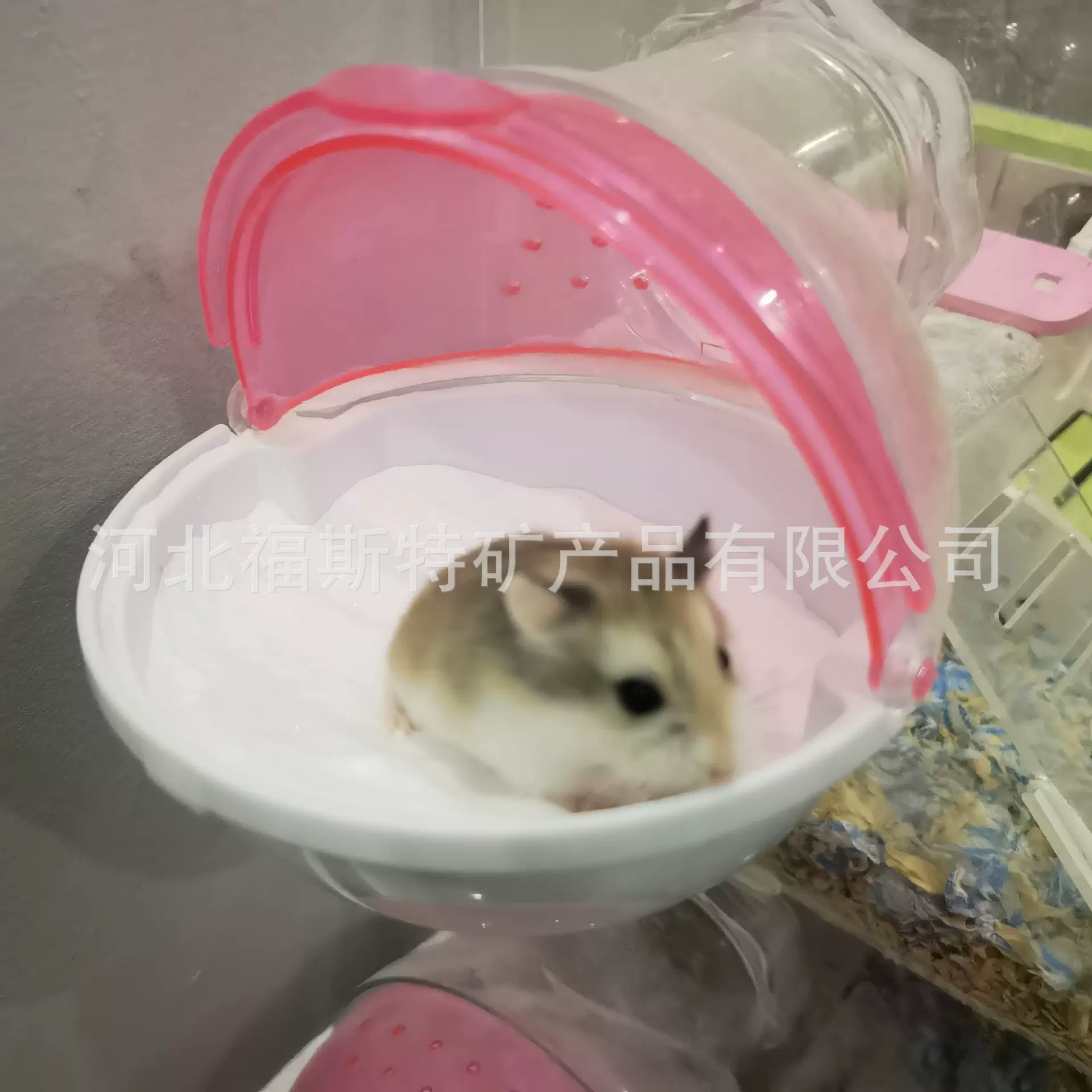 仓鼠浴沙小宠物清洁用品白色沙子沙漠浴砂除臭颗粒花草浴沙垫料