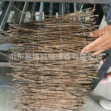 蝉卵枝稻草芦编织机 自动送料电动草帘机 秸秆芦苇草席编织机