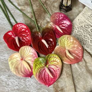 Red Palm Simulation Green Plant Fire Palm Guanyin Lotus Simulation Flower Garden Design Pseudo -Flower Leaf Plant Decoration