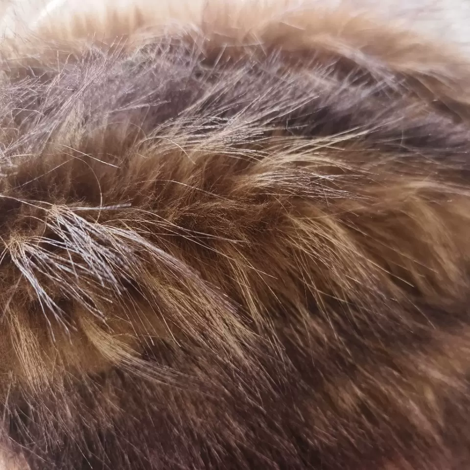 重磅三色彩色狐狸毛 貉子毛服装毛领皮草大衣地垫面料 狸仿真人造