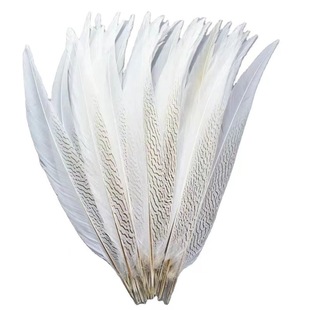�S�ҹ����y�uβ��ë 15-20cm��g����ëҰ�uë ��̨�b��b���