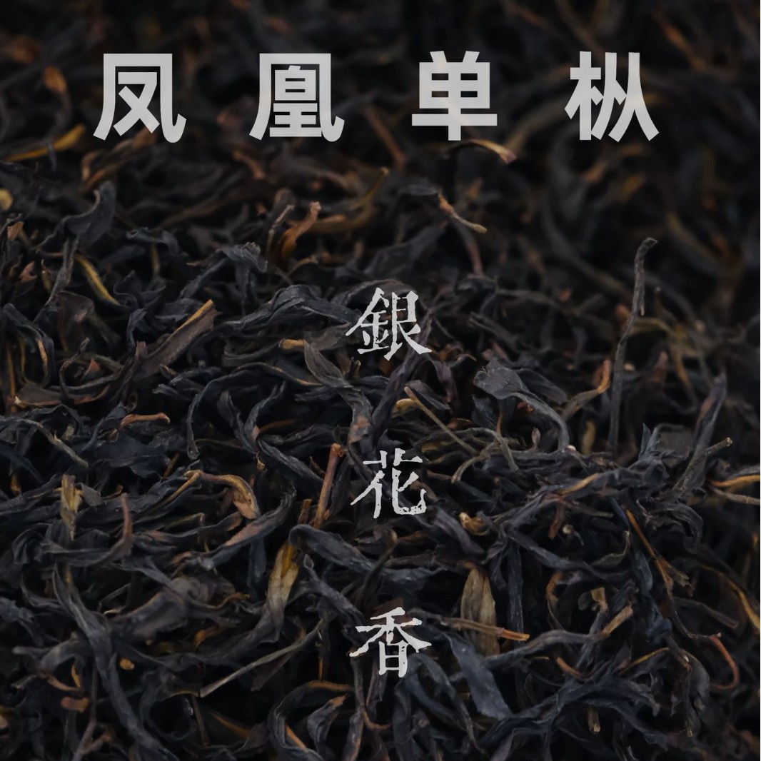 银花香单枞潮州凤凰单丛高山银花香乌龙茶叶送礼单枞茶清香名茶