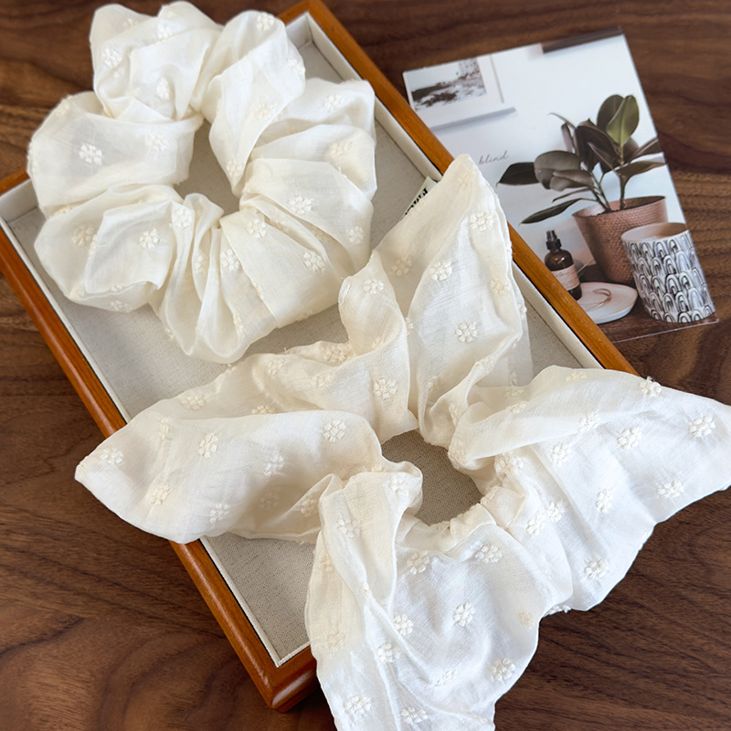 20250215-2025_02_15_11_56_IMG_