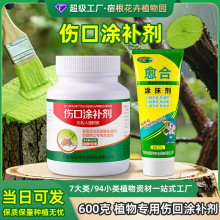树干伤口愈合剂大树树木必备涂膜剂果树防腐修复伤口愈合剂
