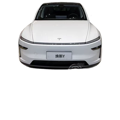 Car headlight protective film: Light Black Warrior Headlight Transparent
